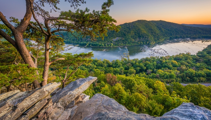 Green Forests Work