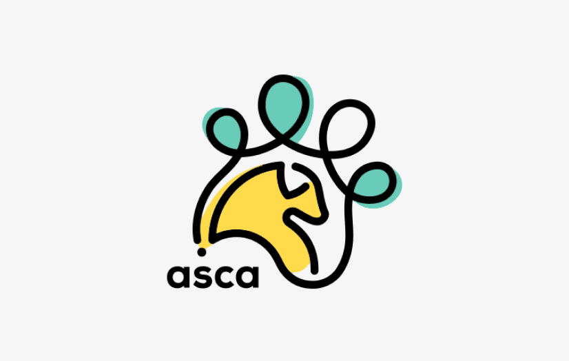 Animal Shelter Crisis Aid